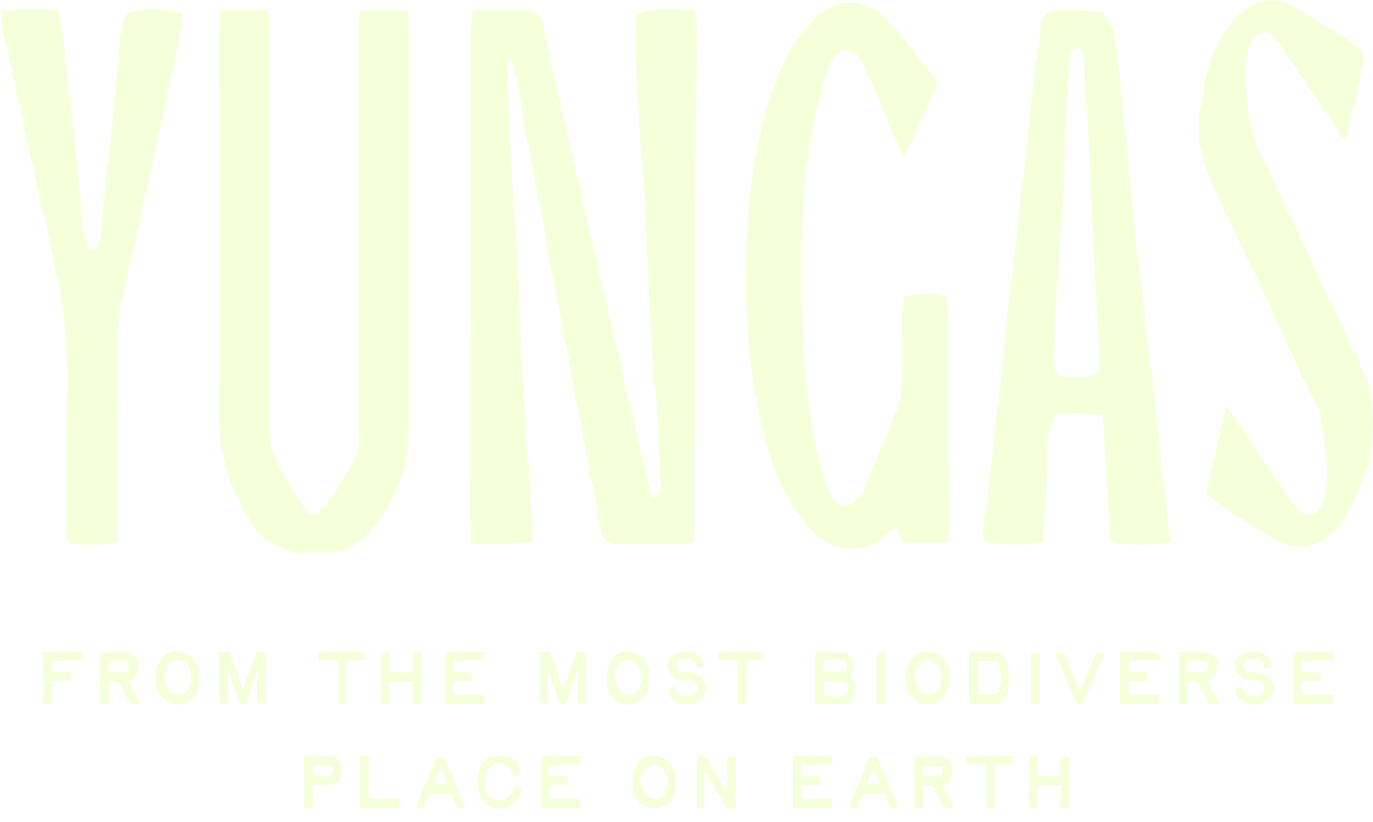 Yungas
